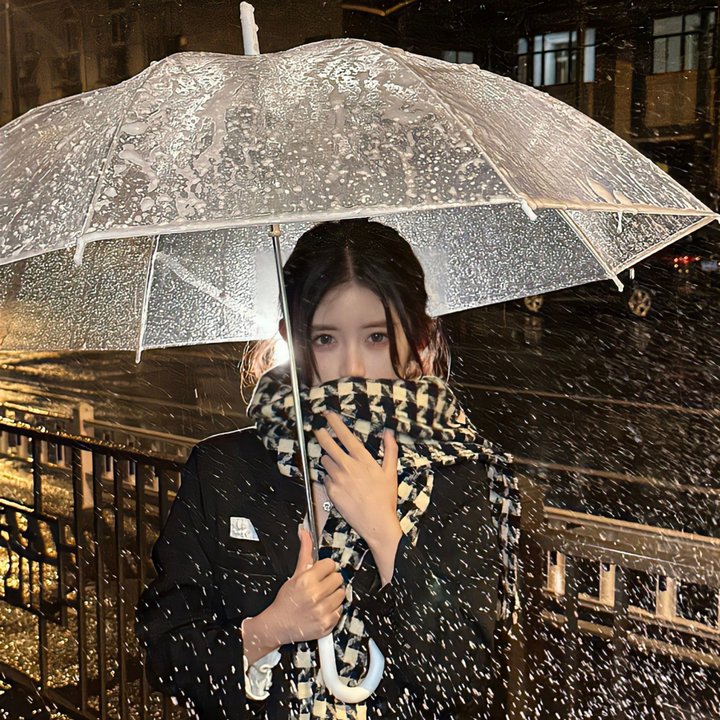 失踪的女人