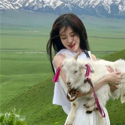 哈利波特:消失的密室
